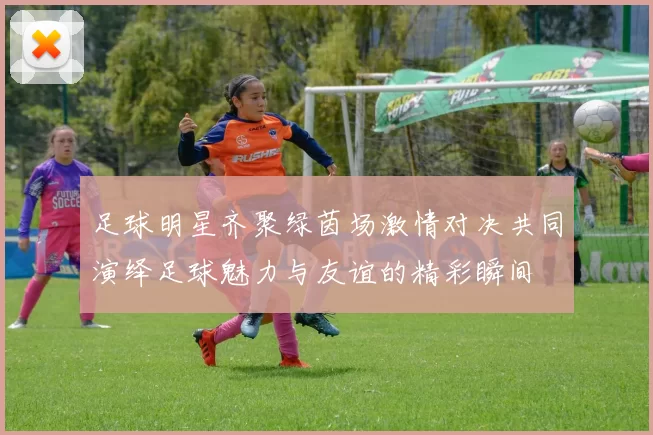 足球明星齐聚绿茵场激情对决共同演绎足球魅力与友谊的精彩瞬间