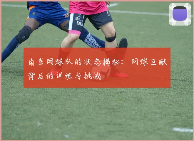 南京网球队的状态揭秘：网球巨献背后的训练与挑战