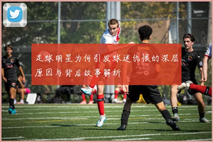 足球明星为何引发球迷仇恨的深层原因与背后故事解析