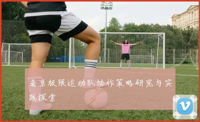 南京极限运动队协作策略研究与实践探索