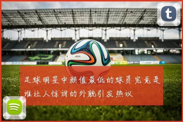 足球明星中颜值最低的球员究竟是谁让人惊讶的外貌引发热议
