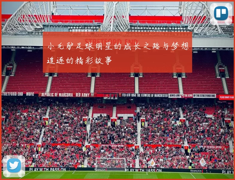 小毛驴足球明星的成长之路与梦想追逐的精彩故事