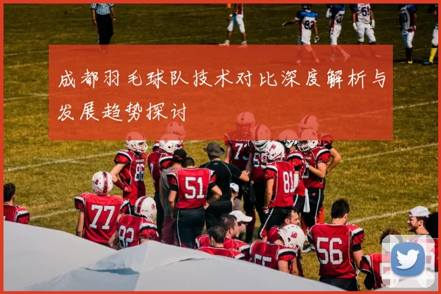 成都羽毛球队技术对比深度解析与发展趋势探讨