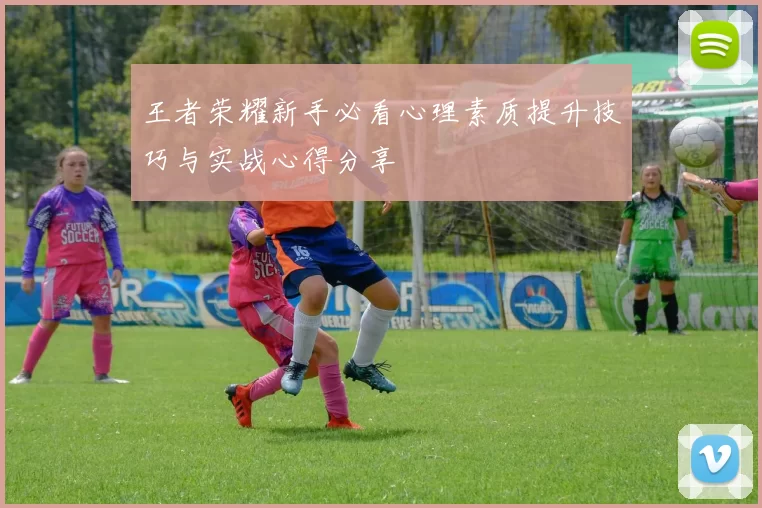 王者荣耀新手必看心理素质提升技巧与实战心得分享
